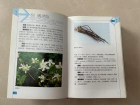 中草药彩色图谱