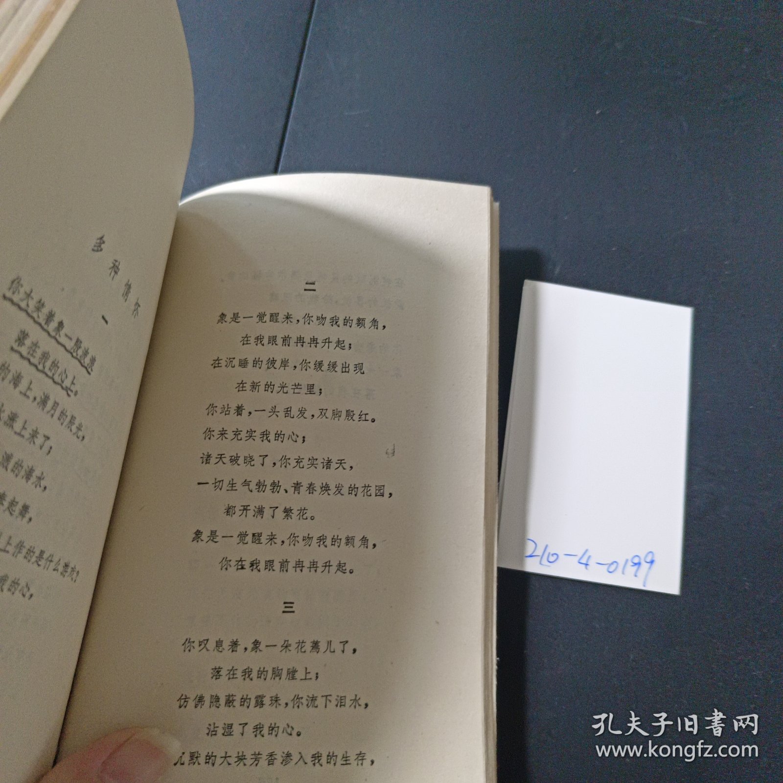鸿鹄集