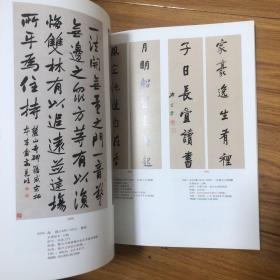 中国书法名家作品集（收录180余件作品）林散之高二适萧娴胡小石费新我武中奇陈大羽沙曼翁尉天池吴湖帆沙孟海启功于右任孙晓云康有为张人杰高邕刘伯温何绍基左宗棠白蕉赖少其罗振玉王福庵萧蜕庵李瑞清书法集（萧娴临石鼓文石门颂四条屏、萧娴临石门颂长卷、