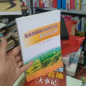 低渗透油藏复杂结构井开采技术与应用——以鄂尔多斯盆地吴起薛岔区为例