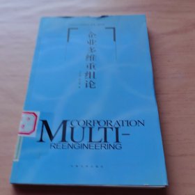 不确定性与企业集团问题——产业组织与管理丛书