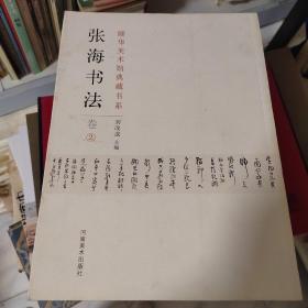 颐华美术馆典藏书系.张海书法.卷②