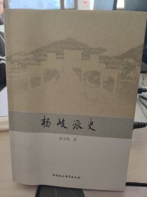 杨岐派史