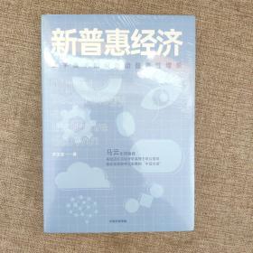 新普惠经济数字技术如何推动普惠性增长罗汉堂著中信出版社图书  书后角有点磨损