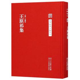 王原祁集(精)/中国艺术文献丛刊 9787534069215