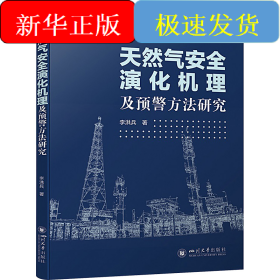 天然氣安全演化機理及預(yù)警方法研究