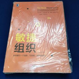 敏捷组织：如何建立一个创新、可持续、柔性的组织（原书第2版）