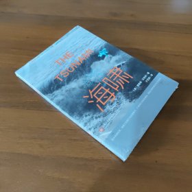 “地球”系列：海啸