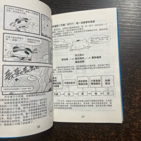 Oran猪漫画教室:从零开始学漫画 达人篇
