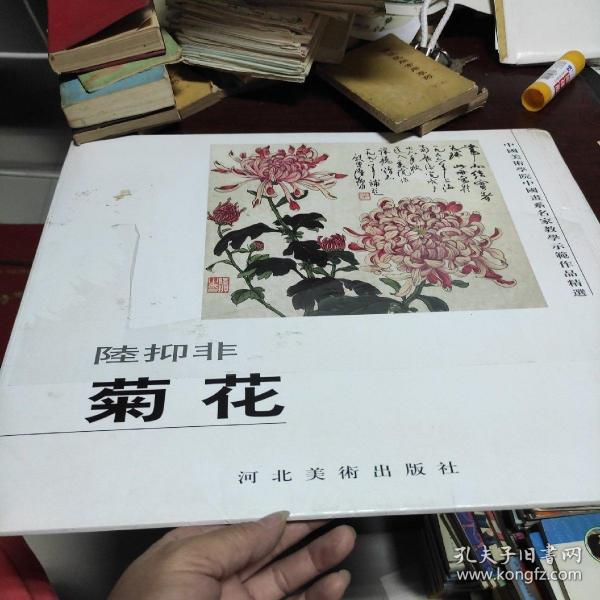 中国美术学院中国画系名家教学示范作品精选.菊花（活页全12张，缺第七张）