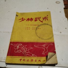 少林武术