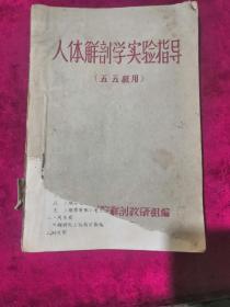 大连医学院教学用书《人体解剖学实验指导》五五级用