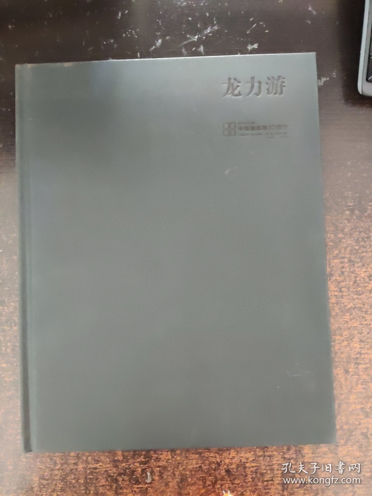 中国艺术研究院中国油画院十周年作品集 龙力游