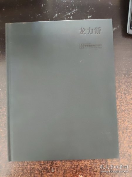 中国艺术研究院中国油画院十周年作品集 龙力游
