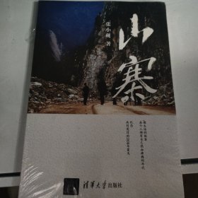 山寨：做生活的侠客，每个人都有自己热血沸腾的年代——纪念共同度过的2008年