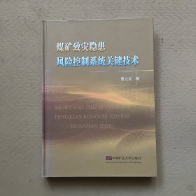 煤矿致灾隐患风险控制系统关键技术