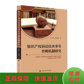 知识产权诉讼技术事实查明机制研究