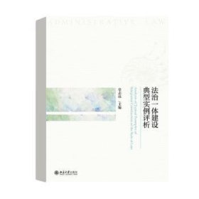 法治一体建设典型实例评析