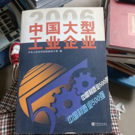 2006中国大型工业企业