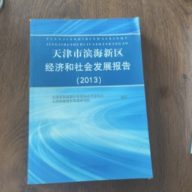 天津市滨海新区经济和社会发展报告（2013）
