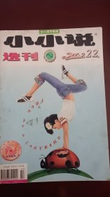 小小说2002.22