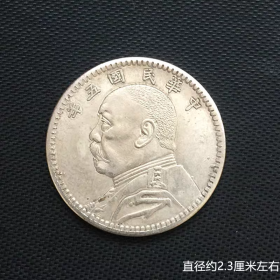 银币银豪收藏袁大头二角银豪中华民国五年银豪铜银豪