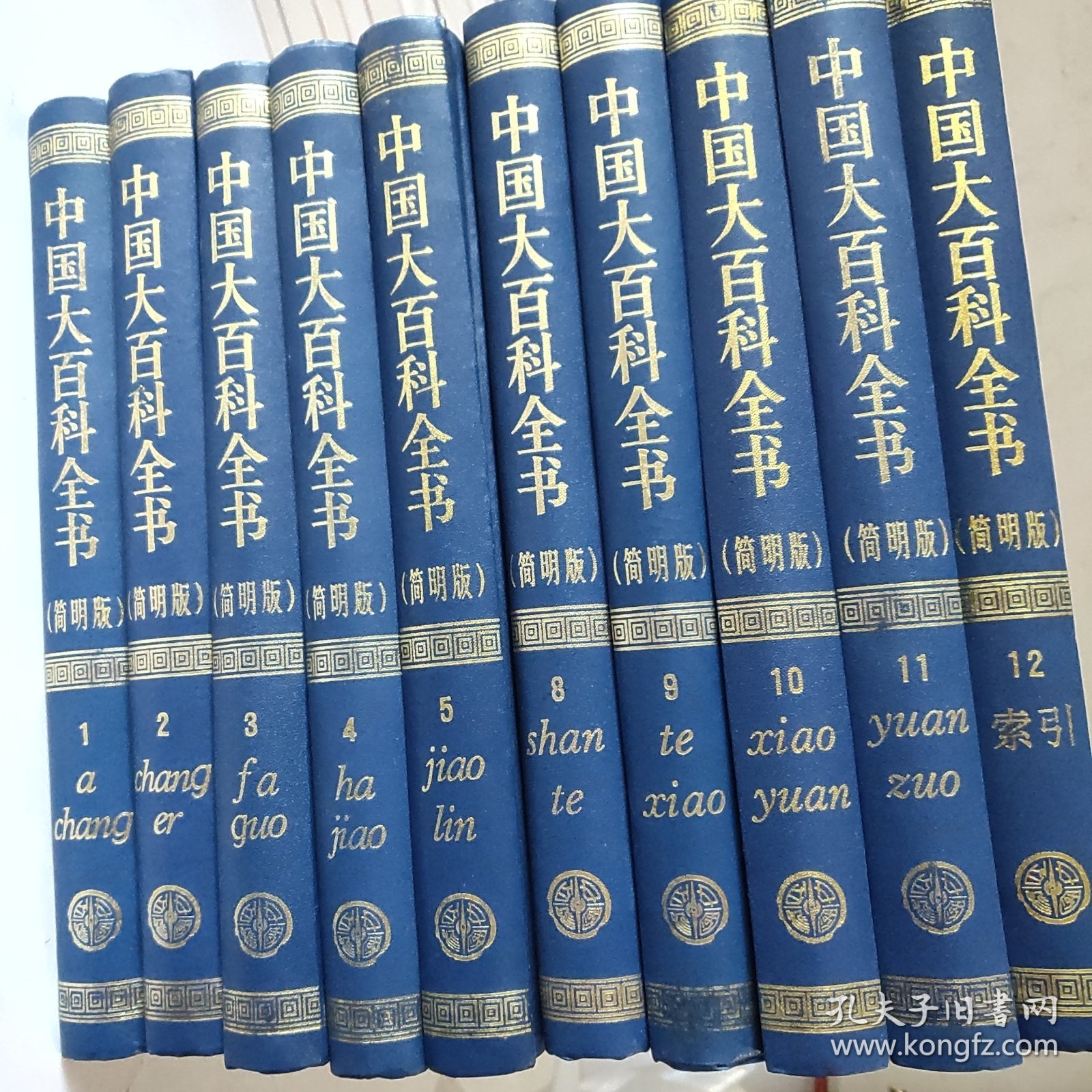 中国大百科全书:简明版 （1-12）缺6/7册（10册合售）精装（有彩图）