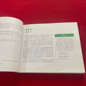 视觉会议：应用视觉思维工具提高团队生产力