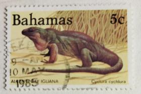 美洲邮票3(巴拿马)~爬行动物专题--园鳞鬣蜥