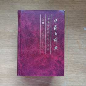 中药大辞典（上册）