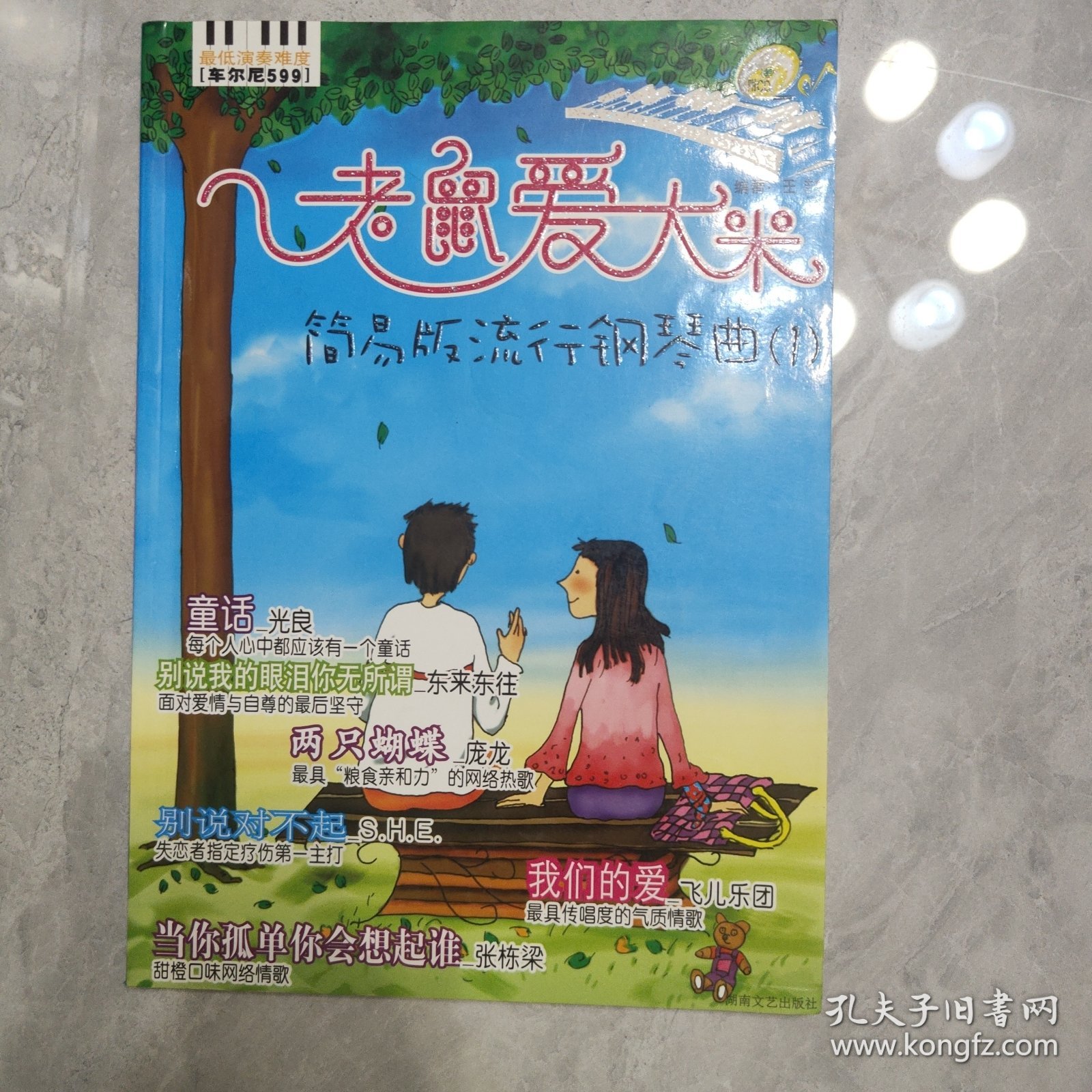 老鼠爱大米.1：简易版流行钢琴曲