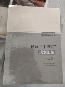 民政十四五规划汇编【上下全新末拆封】