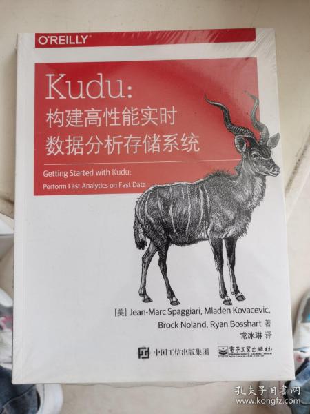 Kudu：构建高性能实时数据分析存储系统(博文视点出品)