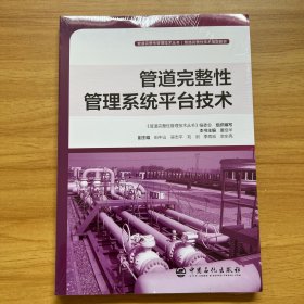 管道完整性管理系统平台技术管道完整性管理技术丛书