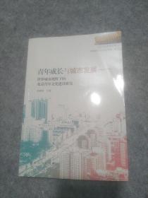 青年成长与城市发展：世界城市视野下的北京青年文化建设研究