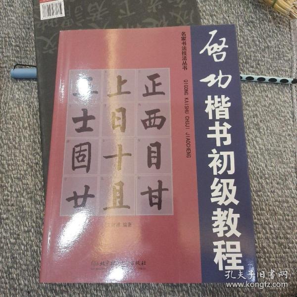 名家书法技法丛书：启功楷书初级教程