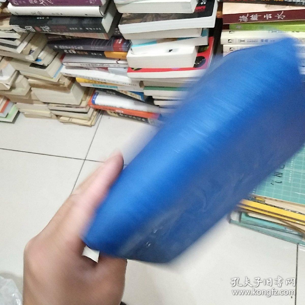 高低压电气设计手册基础部分试用本，带林题词