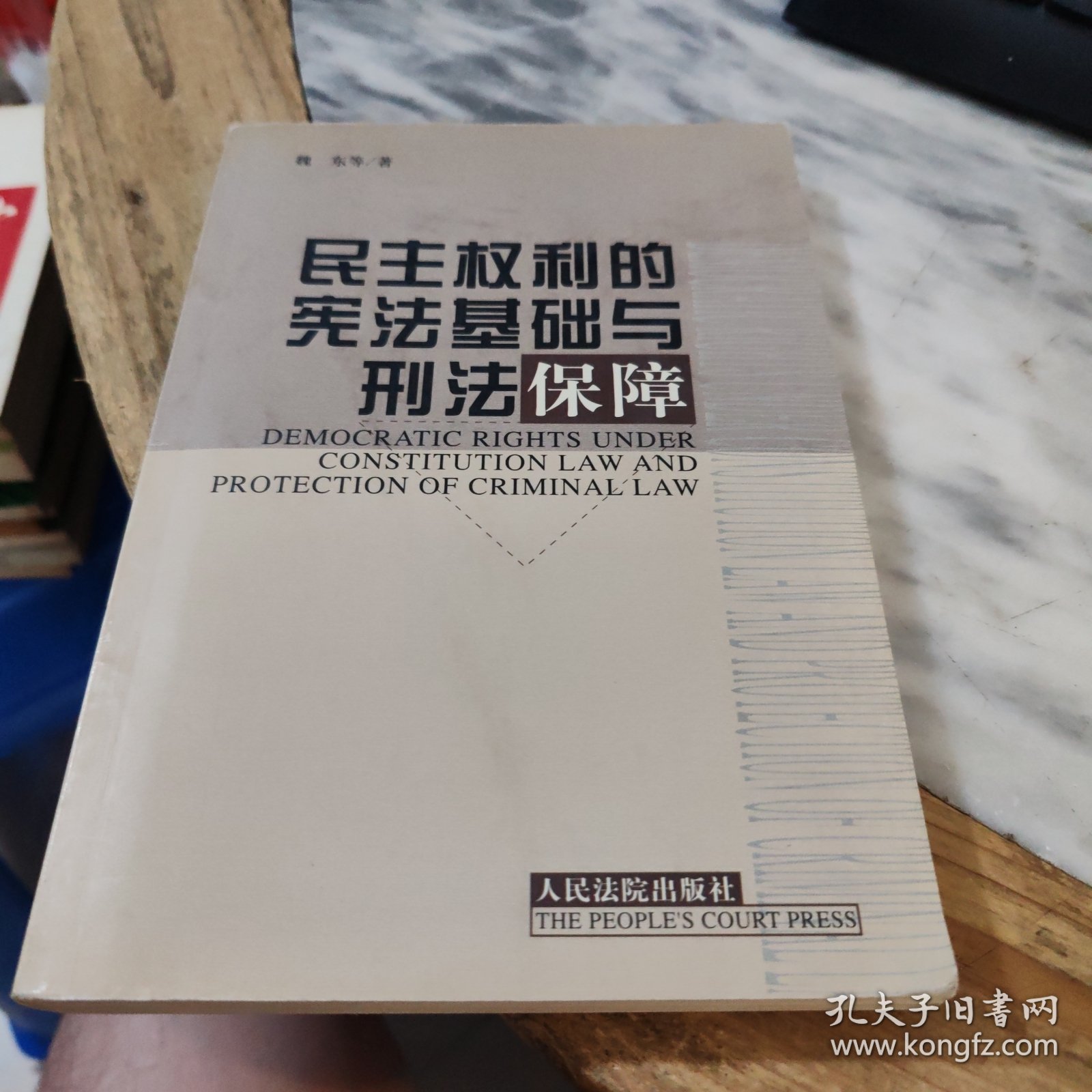 民主权利的宪法基础与宪法保障