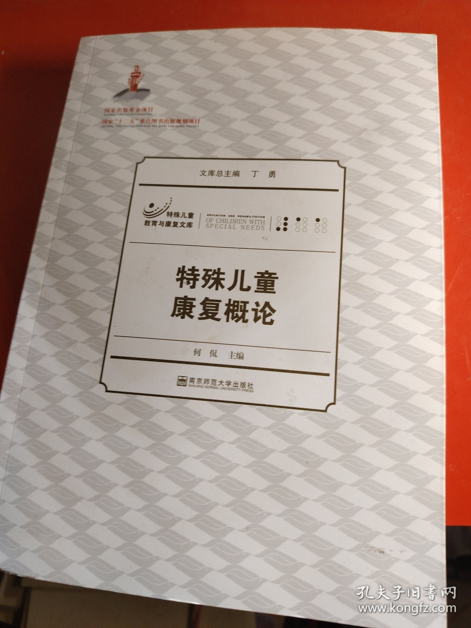 特殊儿童教育与康复文库：特殊儿童康复概论