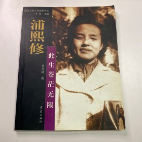 浦熙修：此生苍茫无限 袁东林 著 大象出版社