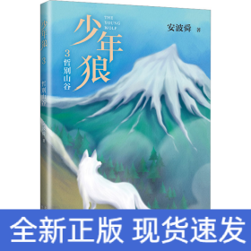 少年狼 3 哲别山谷