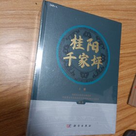 桂阳千家坪（上下册）