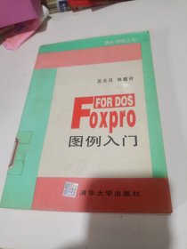 FoxPro FOR DOS图例入门品相如图