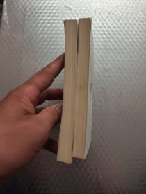 白发魔女传 上下