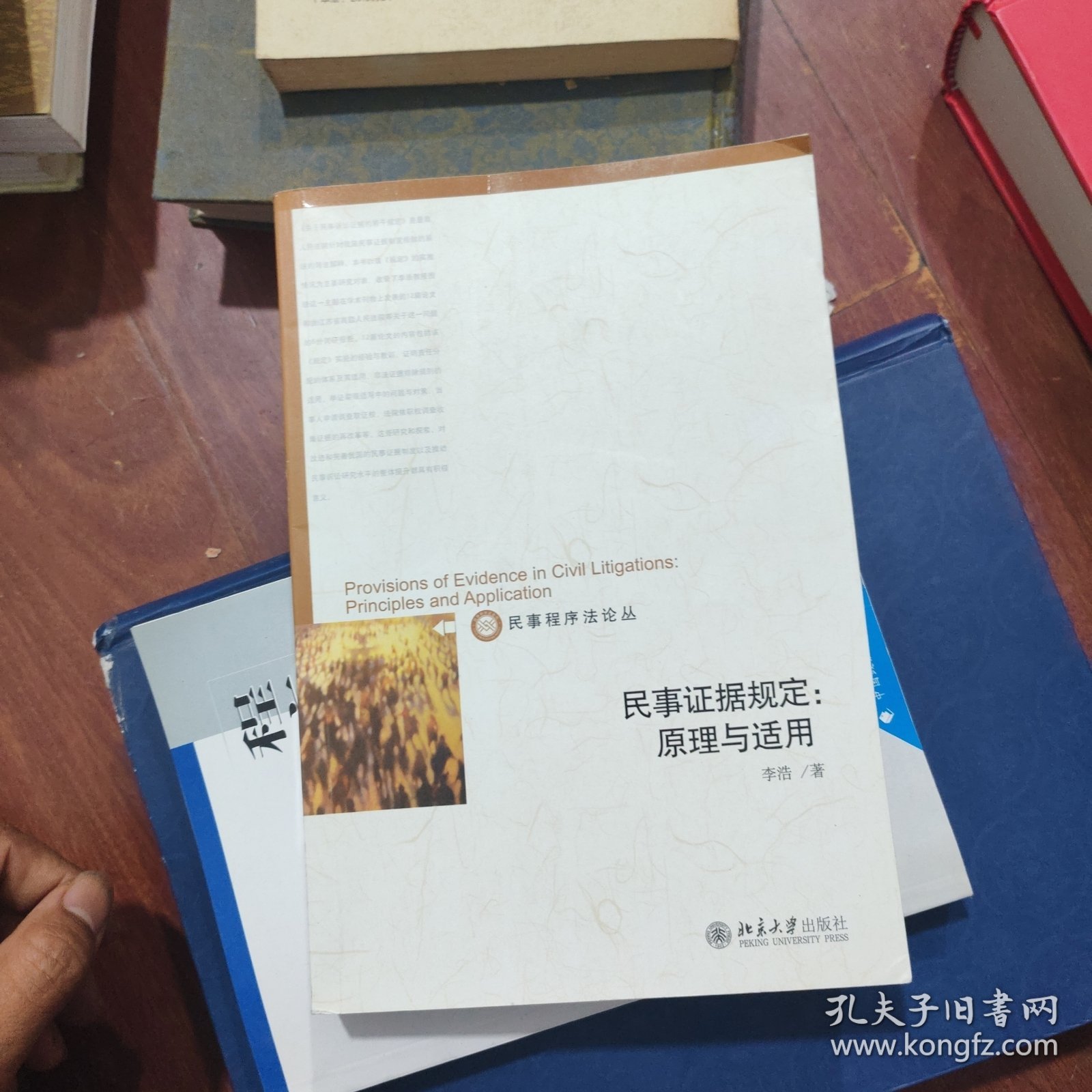 民事证据规定：原理与适用