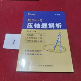 数学中考压轴题解析