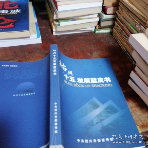 绍兴蓝皮书:十五发展蓝皮书