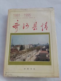 齐河县情:1991～1995