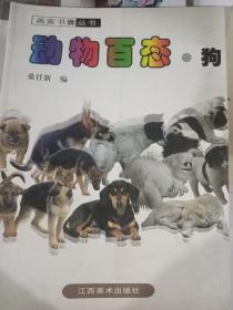 动物百态.狗