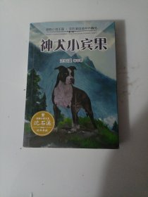 动物小说王国·沈石溪自选中外精品·神犬小宾果